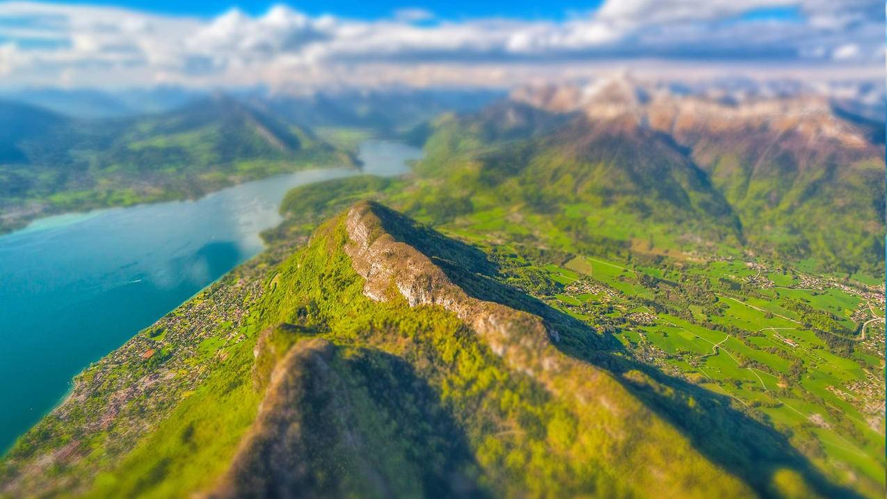 网红商城